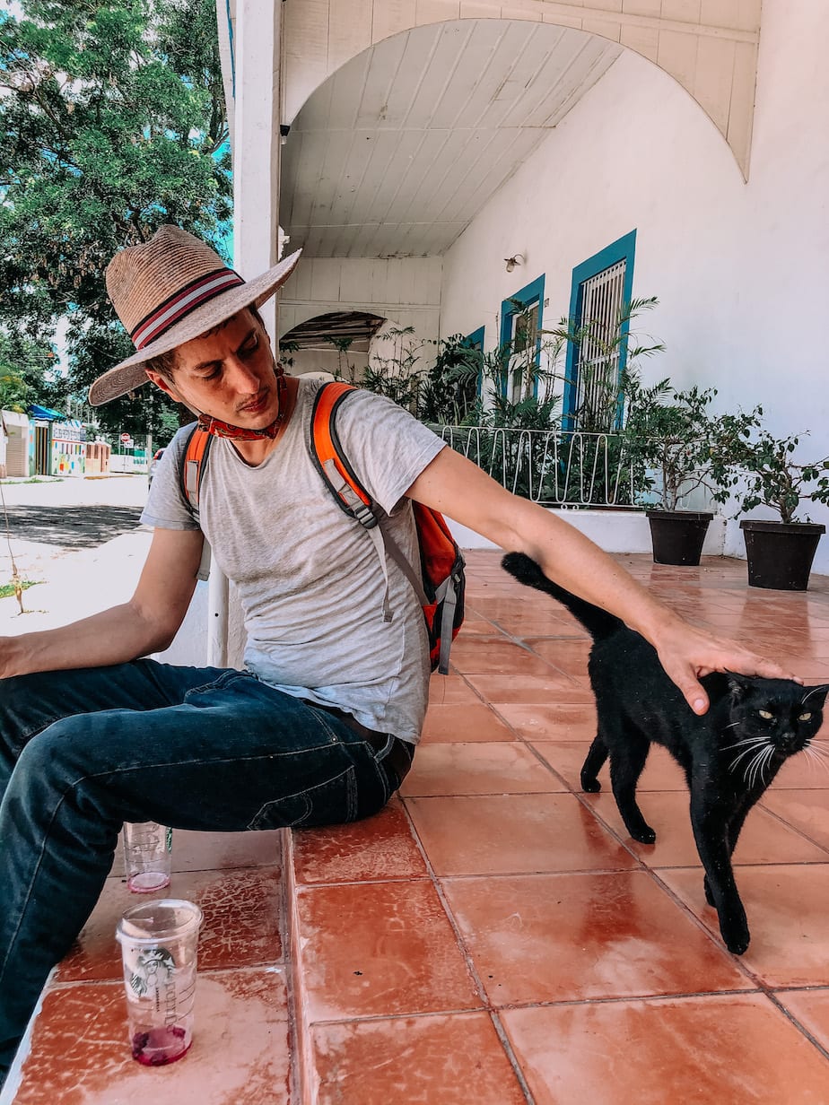 cats of mexico