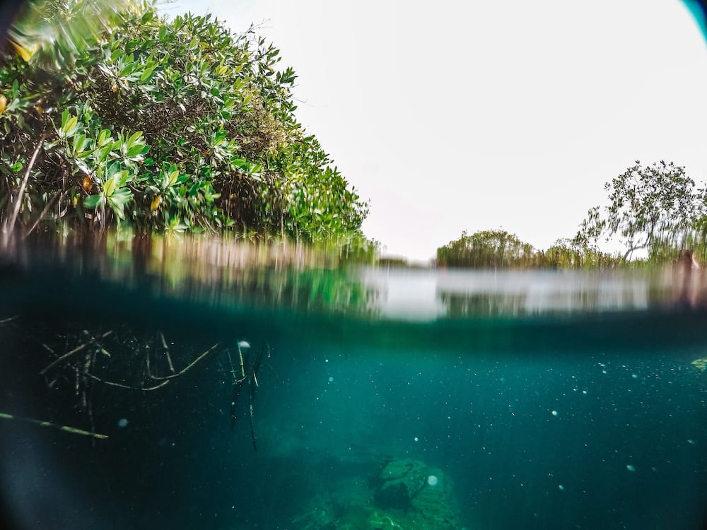 casa cenote tulum