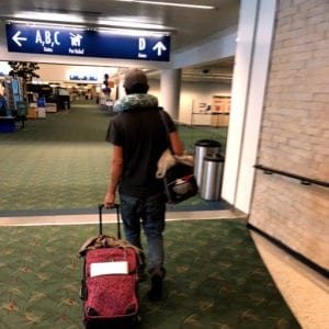 flying traveling with pets cats