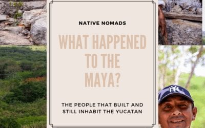 What Happened to the Maya?