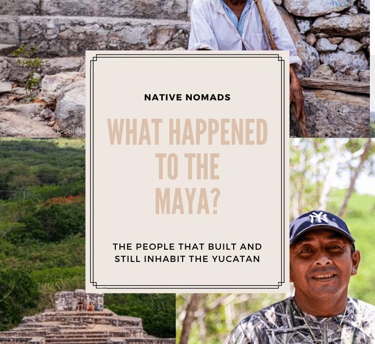 What Happened to the Maya?