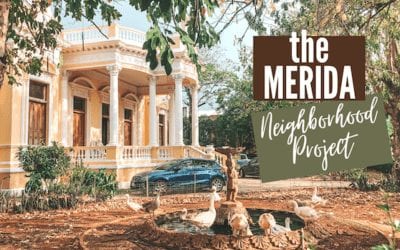 The Mérida Neighborhood Project