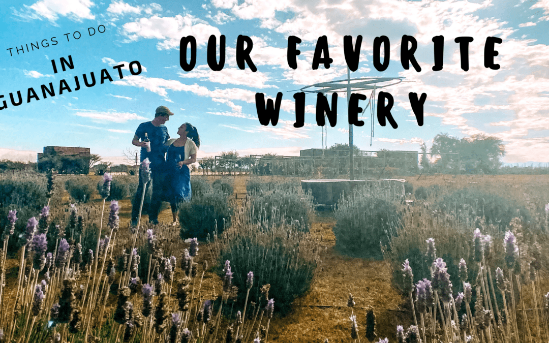 Things To Do in Guanajuato | Our Favorite Winery